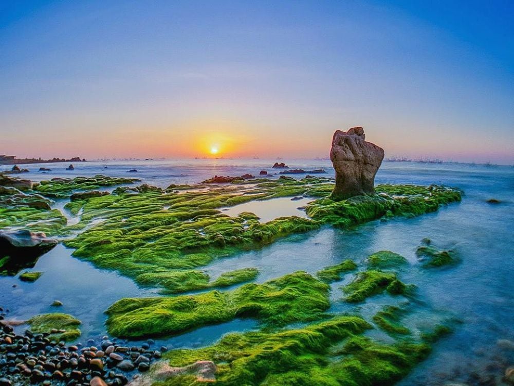 Bãi đá rêu phong độc đáo tại Biển Cổ Thạch